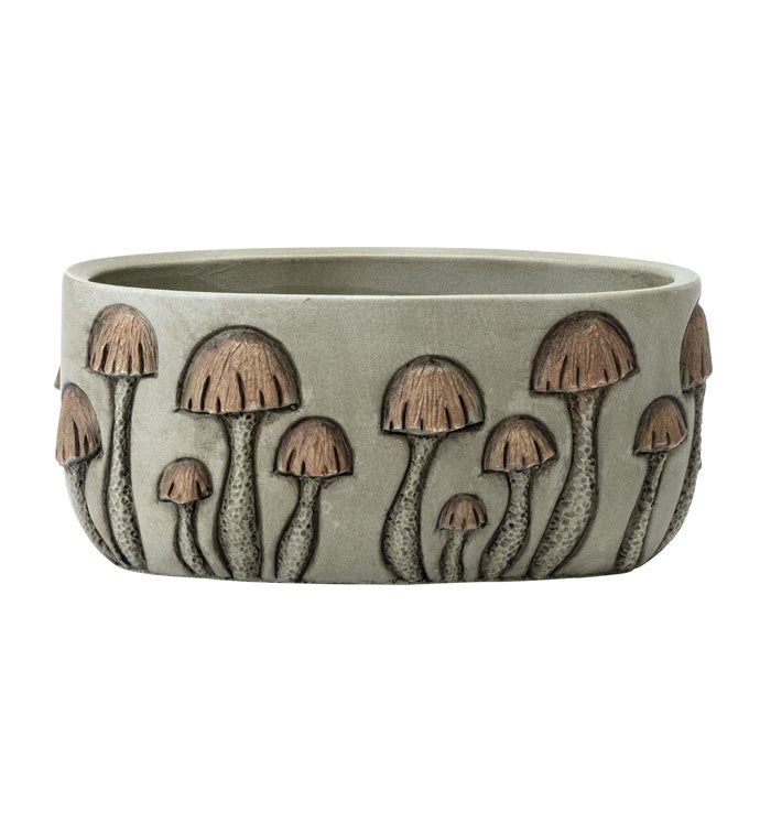 3D Mushroom Dish Garden