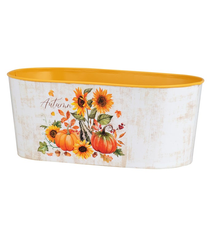 4" Pumpkin/Sunflower Double Bloomer