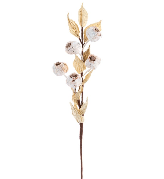Dried Fig Spray                    