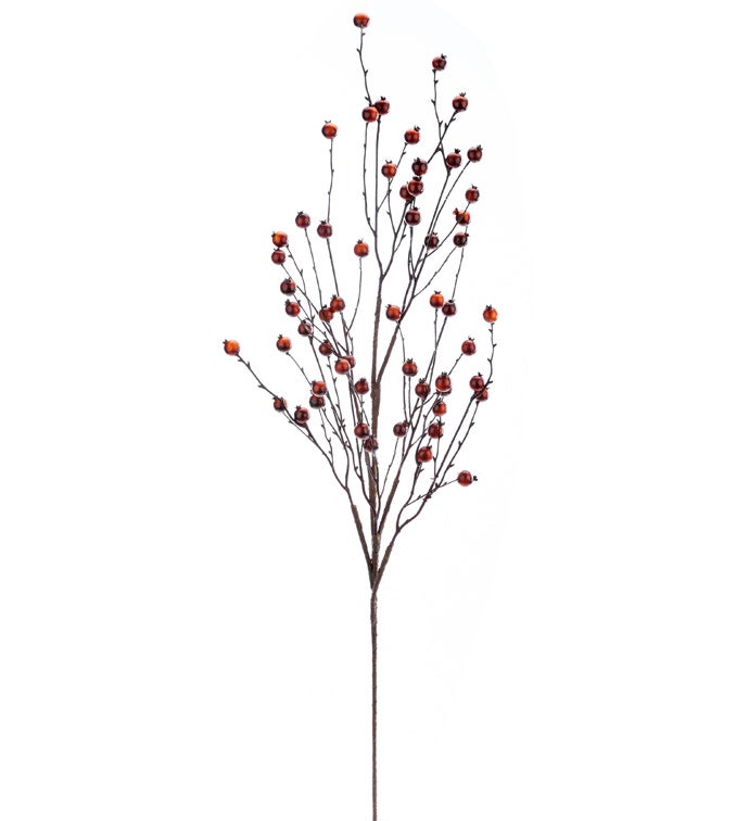 Chestnut Berry Branch              