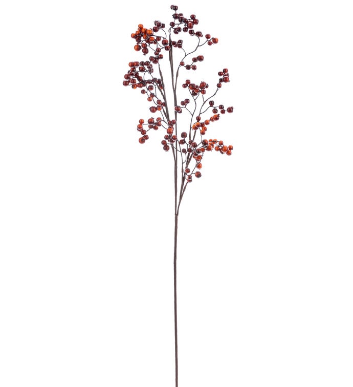 Chestnut Berry Branch              