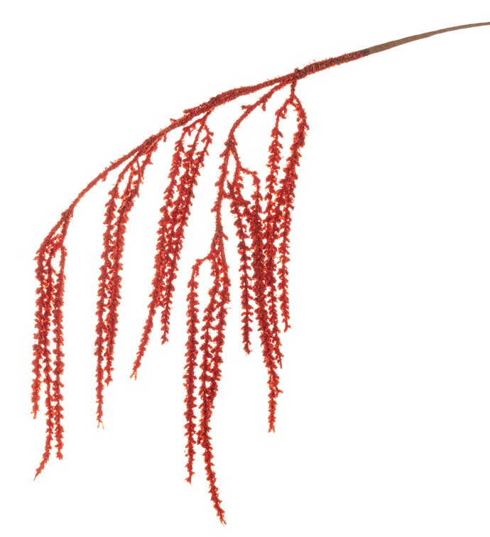 Orange Hanging Branch