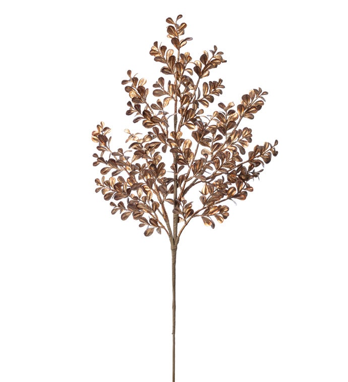 Light Brown Boxwood Spray