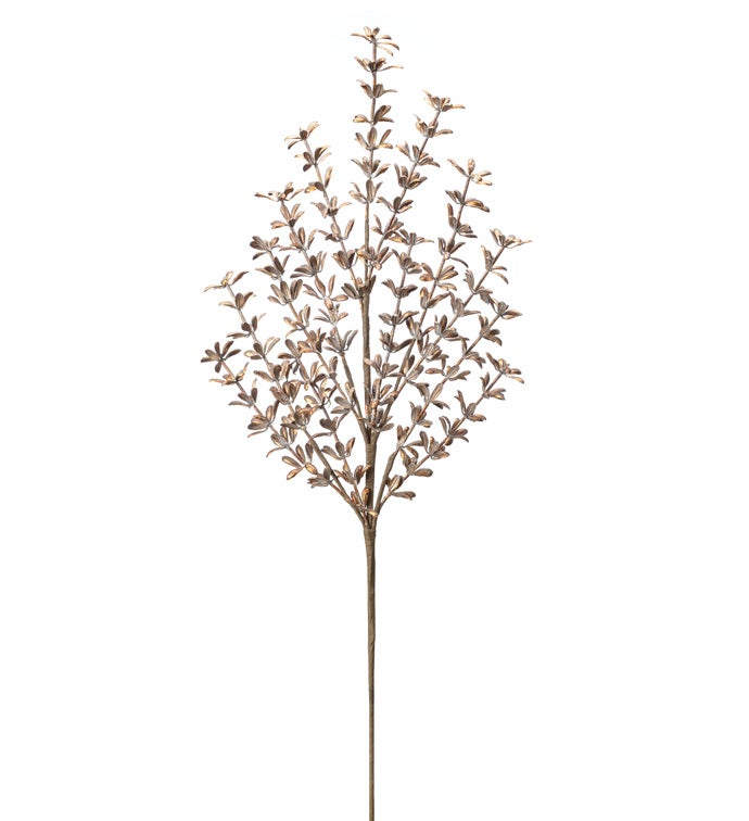 Light Brown Whorled Leaf Spray