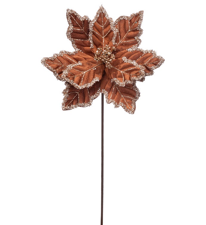 Brown Glitter Edge Poinsettia