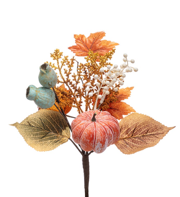 Pumpkin Leaves/Berry Pick