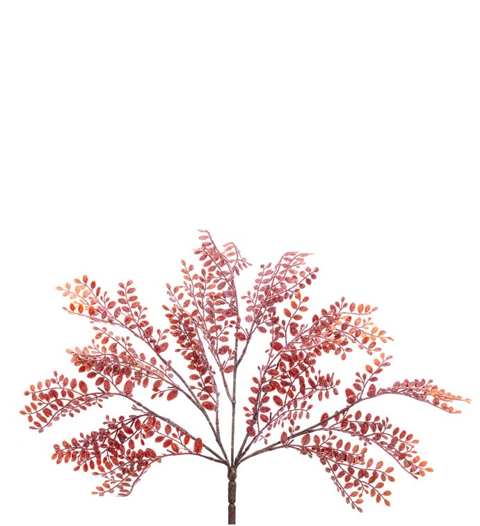 Japanese Pepper Leaf Bush