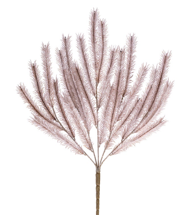 Horse Tail Grass Spray