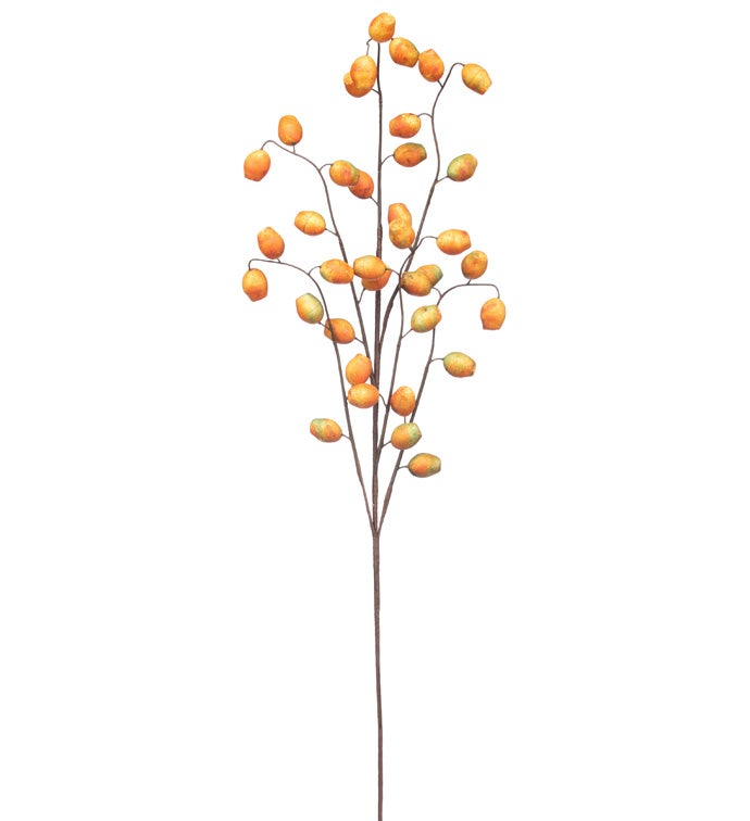 Orange Berry Branch