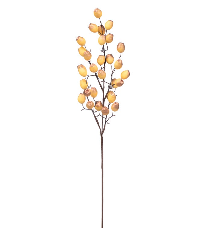 Gold Brush Berry Branch