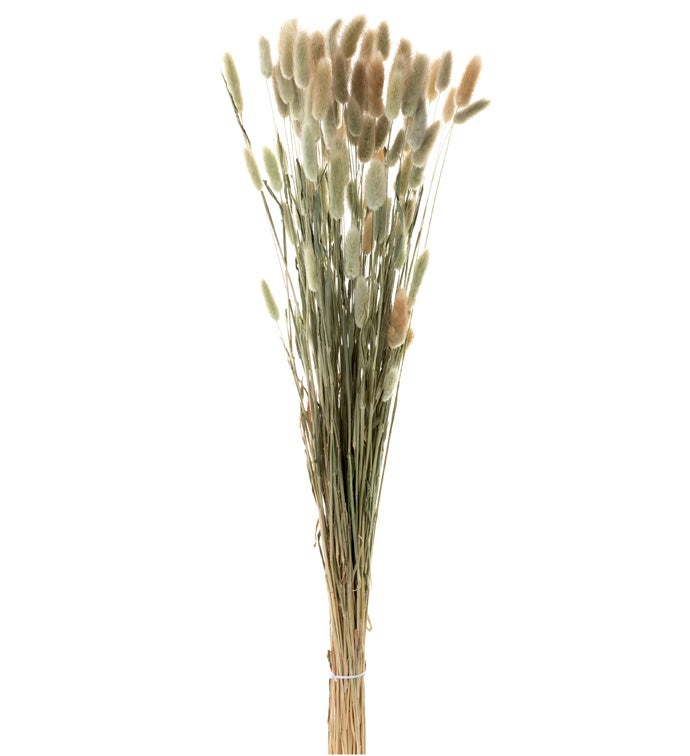Dried Wheat Grass Bundle           