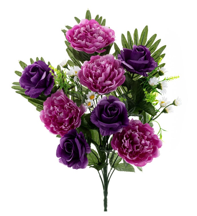 Purple Peony/Rose Half Bush        