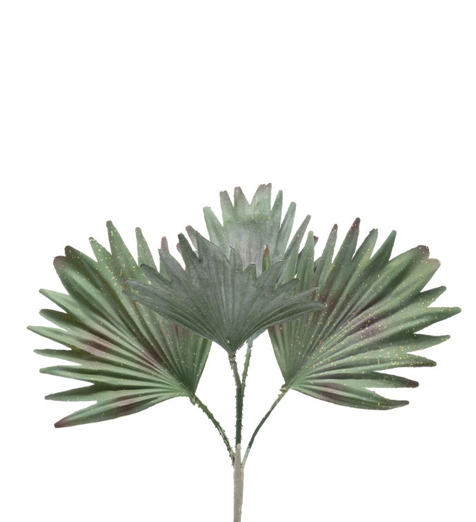 Grey Palm Leaf Spray