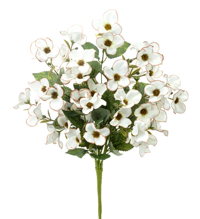 White Dogwood Flower Spray