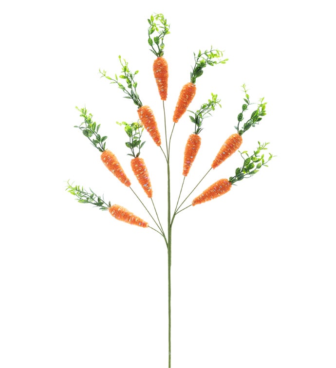 Carrot Spray
