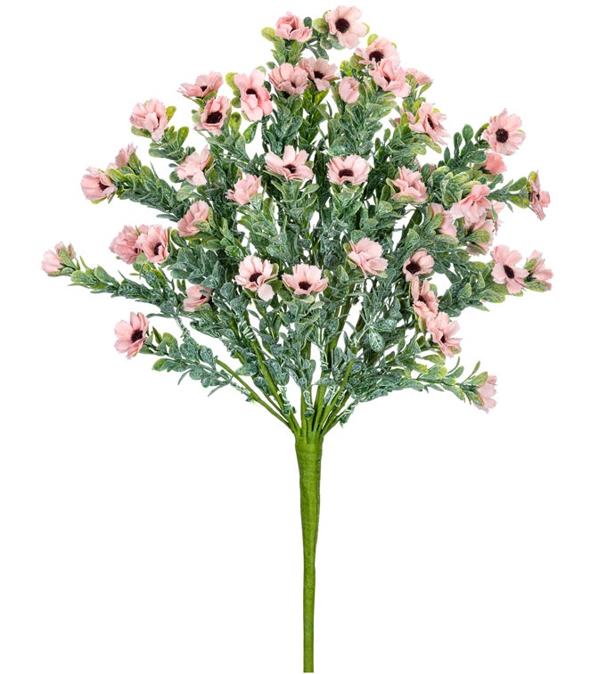 Pink Anemone Spray