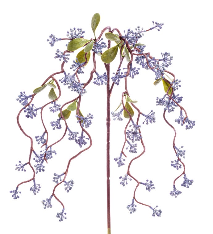 Curly Blue Berry Vine Spray