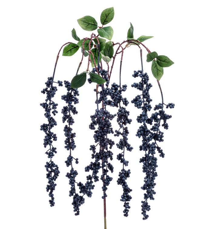 Blue Berry Cluster Hanging Vine