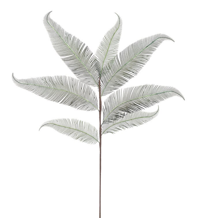 Feather Fern Spray