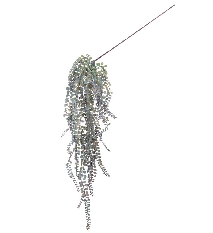 Dark Green Moringa Hanging Vine
