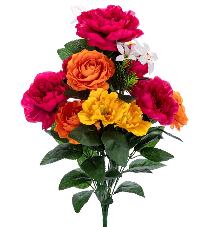 Fuchsia/Red/Yellow Peony Bush x 14