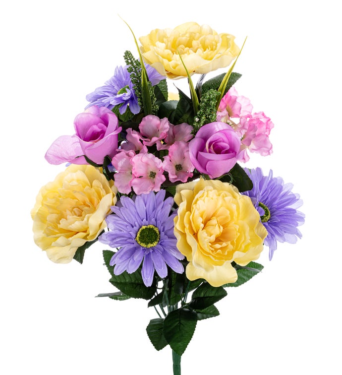 Lavender/Yellow/Pnk Peony Rose Bush x 14