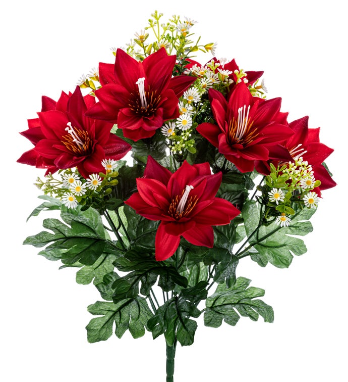 Red/White Lotus Bush