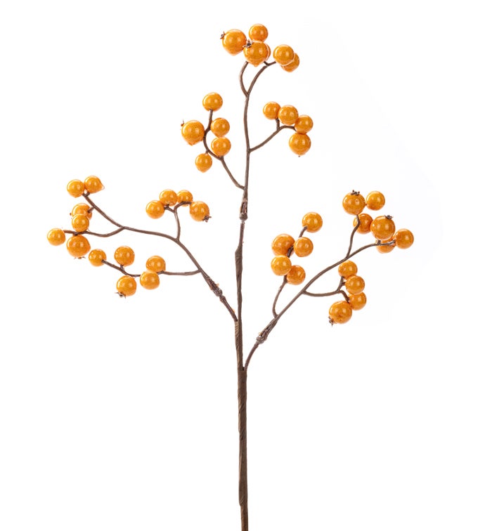 Orange Berry Pick