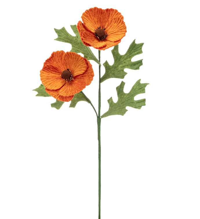 Orange Poppy Spray