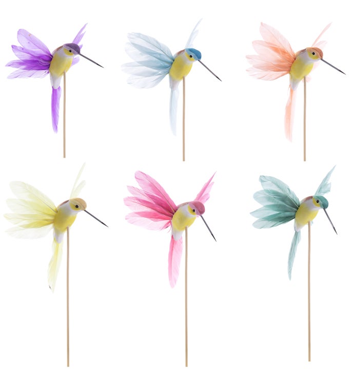Pastel Hummingbird Pick  6 Assorted