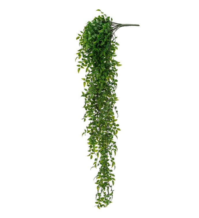 Mini Bamboo Hanging Vine
