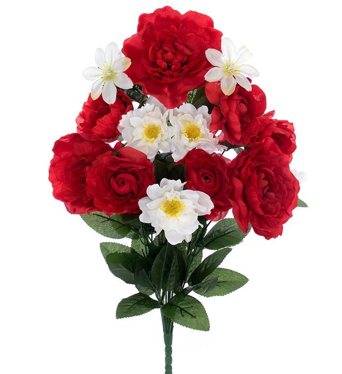 Red and White Peony Memorial Bush