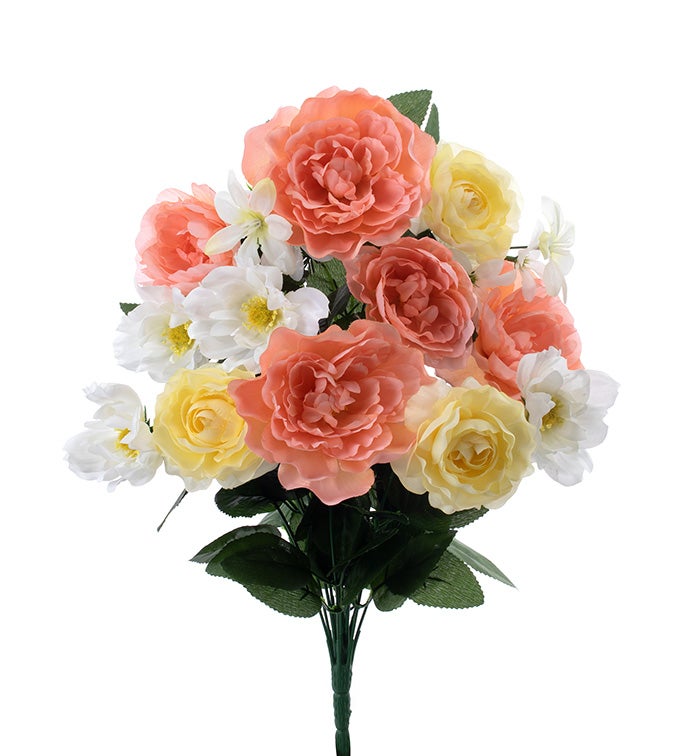 Peachy Peony Memorial Bush