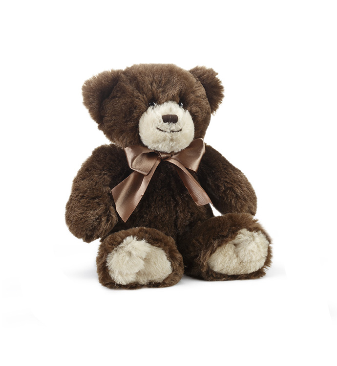 Small Brown Bear - Case of 18