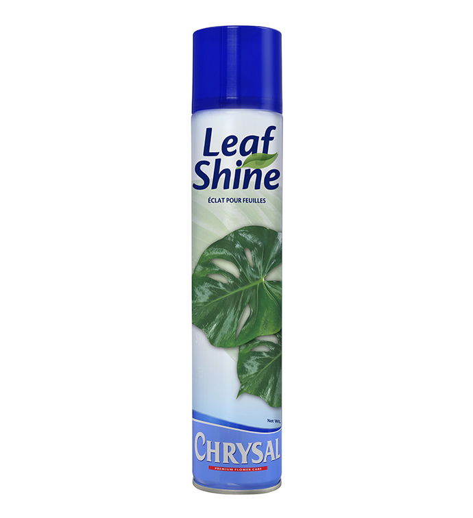Chrysal Leaf Shine 15 oz - Case of 5