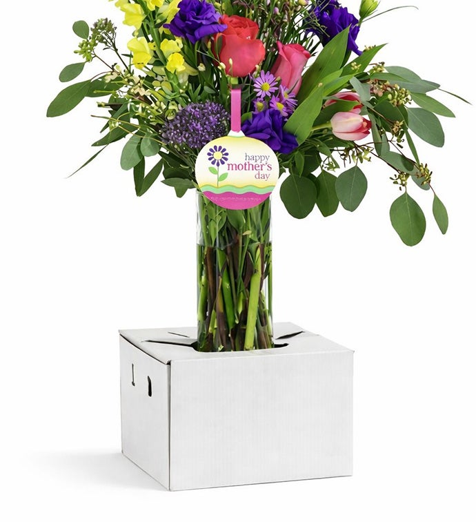Arrangement Carrier - Case of 50