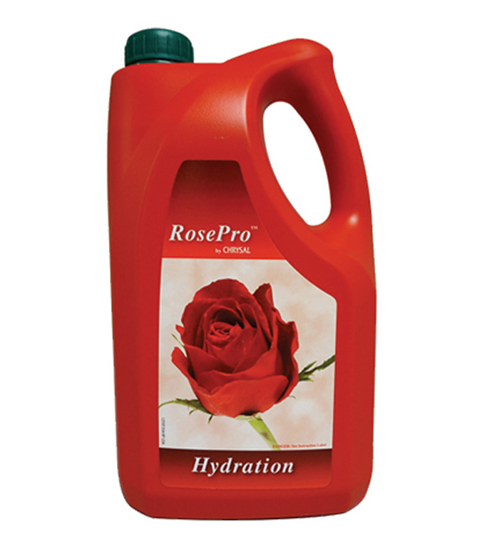 Rose Pro Hydratation Solution