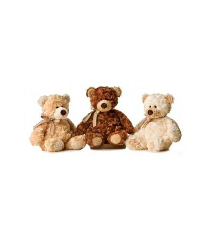 12" Puddin' Bear - Case of 12