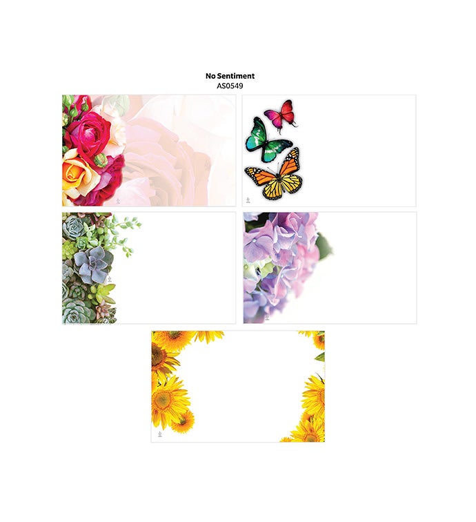 No Sentiment Capri Cards - Case of 500