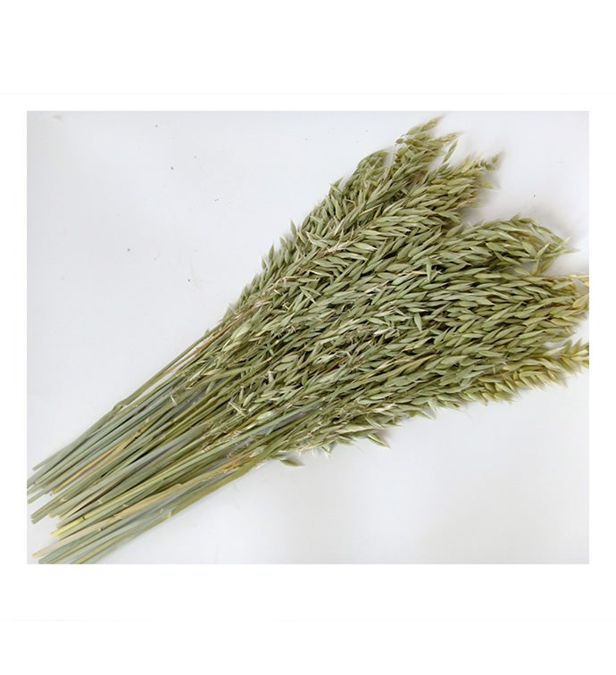 8 oz Avena - Case of 20