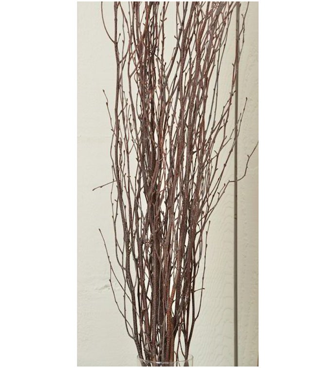 Birch Branches - Case of 60