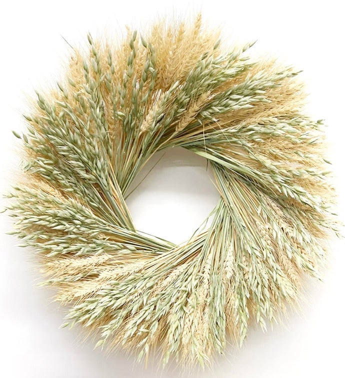 20" Blond Wheat & Avena Oats Wreath - Case of 1