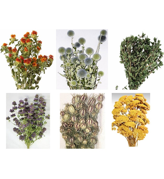 Mixed Herbs Sampler Bunches - Case of 24