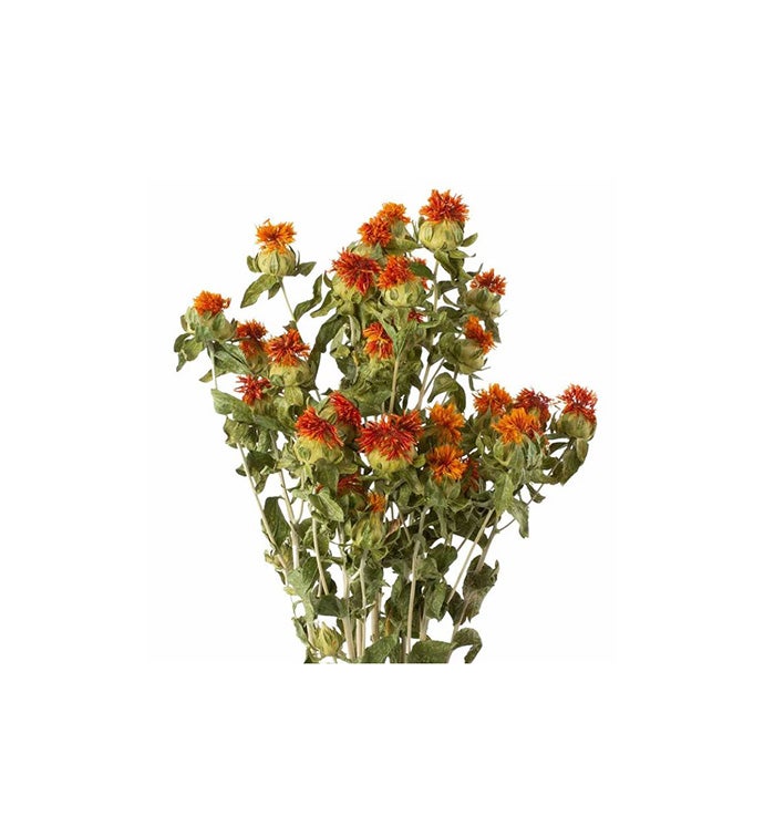 Orange Safflower Bunches - Case of 15