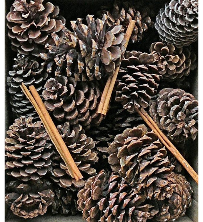 Pinecones & Cinnamon Sticks