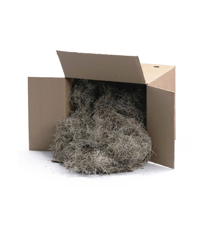 Spanish Moss Natural - 3lbs