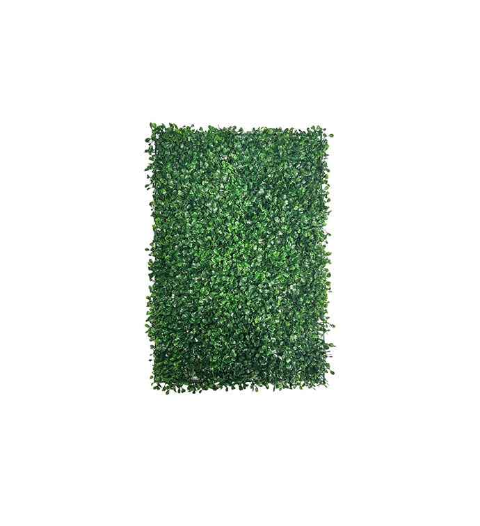 Boxwood Sheet