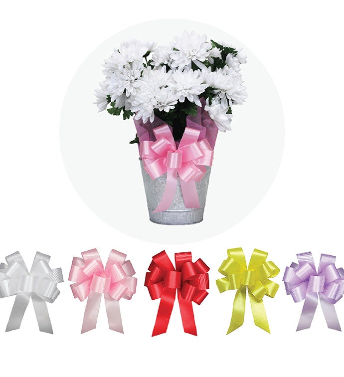 Everyday Florist Bows  - Case of 48