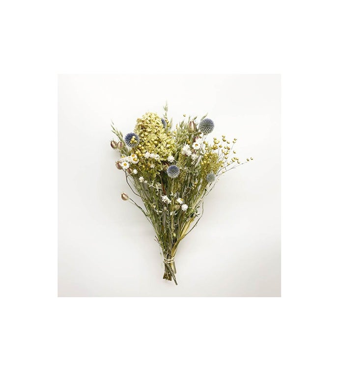 Hydrangea Thistle Bouquets - Case of 12