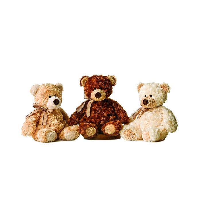 10" BloomNet Exclusive Bear - Case of 12